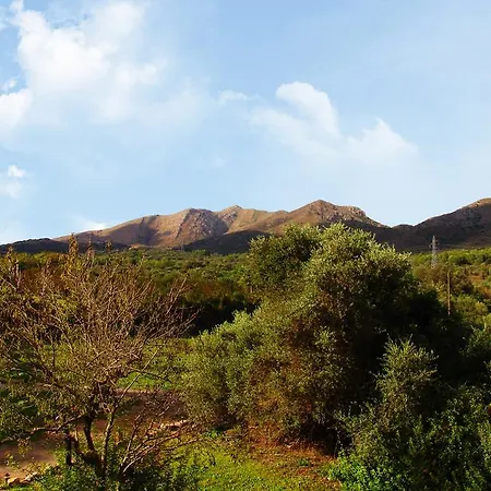 Almendra * Cala Mesquida (Mallorca)