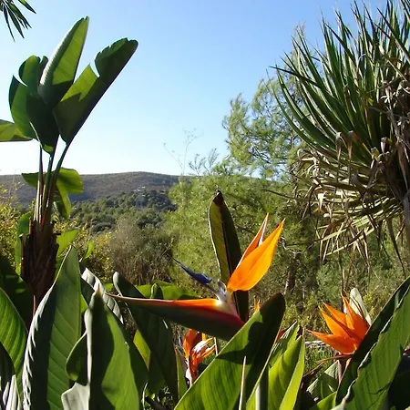Almendra Apartment *