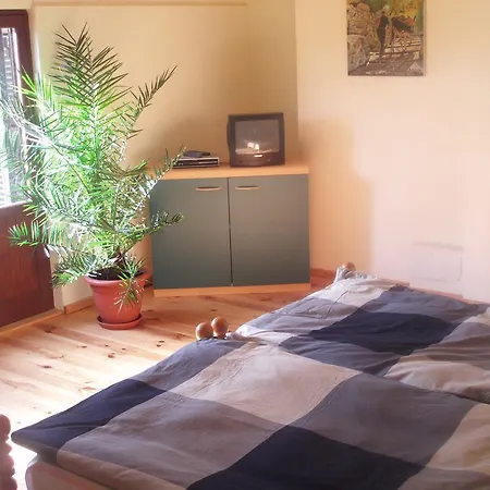 Almendra Apartment Cala Mesquida (Mallorca)