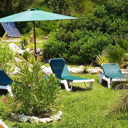 Almendra Cala Mesquida (Mallorca)